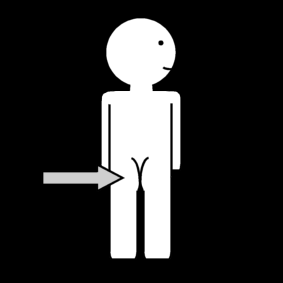 buttocks