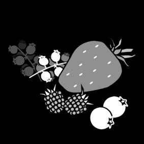 berries