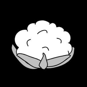 cauliflower