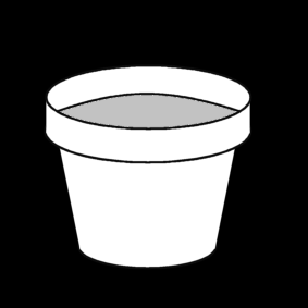 flower pot