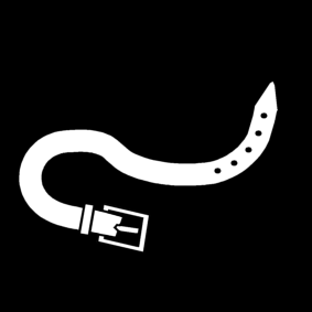 belt