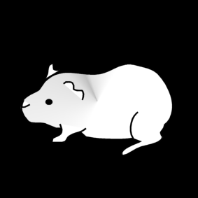 guinea pig