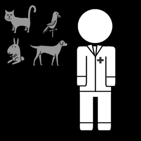 veterinarian