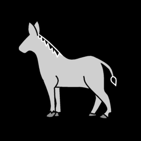 donkey