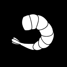 shrimp