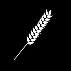 stalk of grain