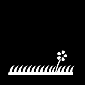 lawn