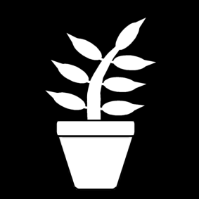 houseplant