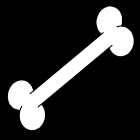 bone