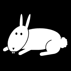 rabbit