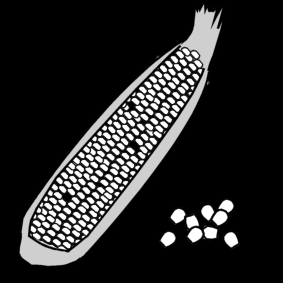 corn