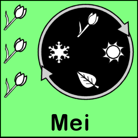 mei