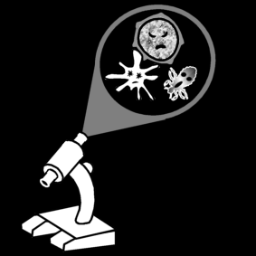 microbes / germs