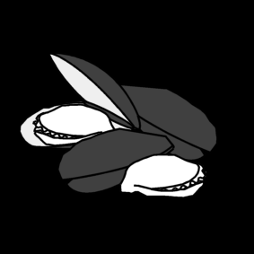 mussels