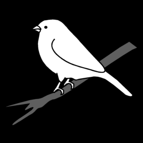 sparrow