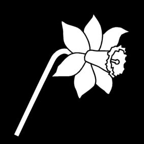 daffodil
