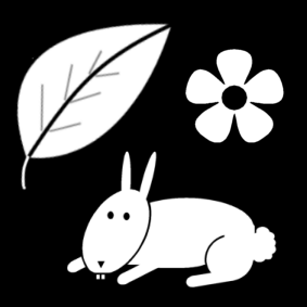 nature class / biology