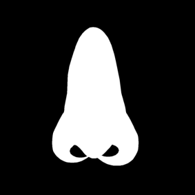 nose