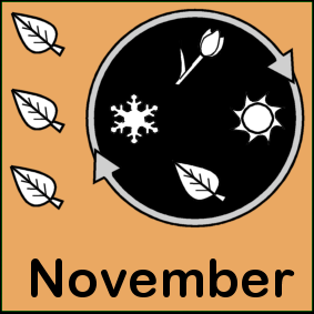 november