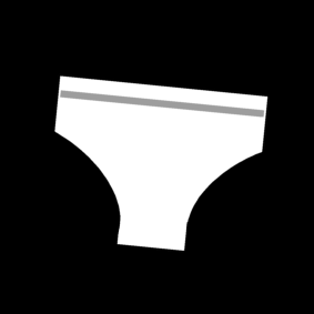 briefs