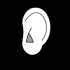 ear
