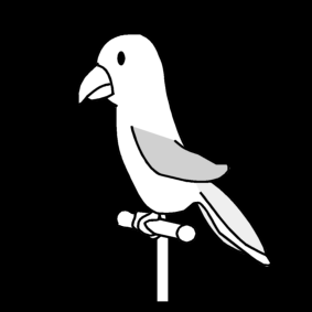 parrot