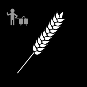 country classes