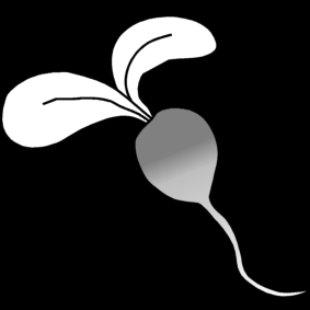 radish