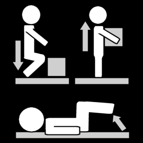 back exercices