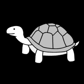 tortue