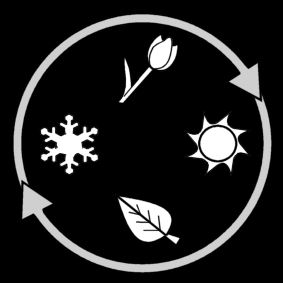 seasons