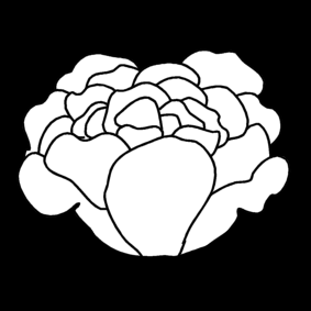 sla