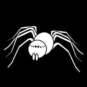 spider