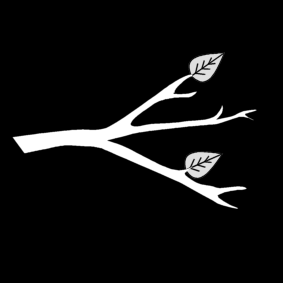 branch