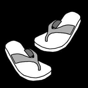 flip-flop