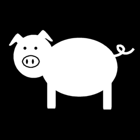 pig