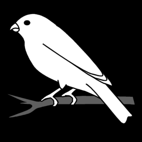 chaffinch