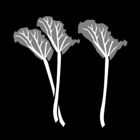 chard