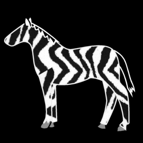 zebra