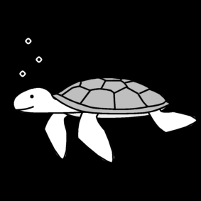 turtle / sea turtle