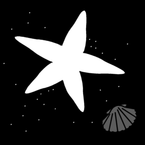 étoile de mer